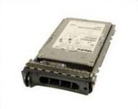 Origin storage 450SAS/10-S6 (IBM-450SAS/10-S6)